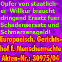 Es handelt sich um diverse, auch schwere, Körperverletzungen und schwere Ruf-und Integritätsschädigungen mit juristischer Rückendeckung (u. a. durch illegale Verfahrenseinstellungen), zum nicht unerheblichen Nachteil einer Einzelperson